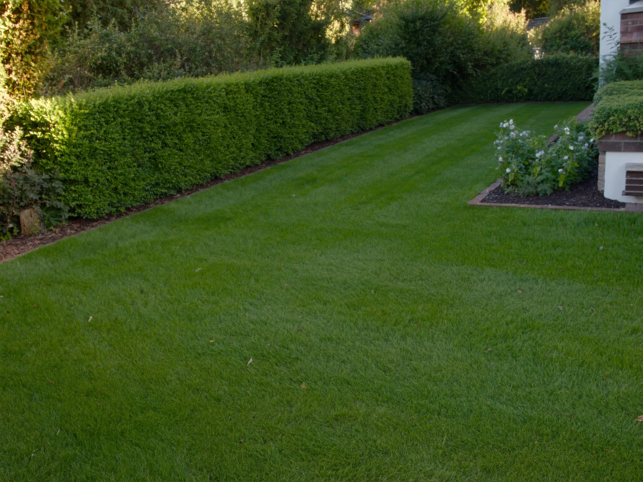 Gepflegter Rasen mit geschnittener Hecke – Gartenpflege in Werther